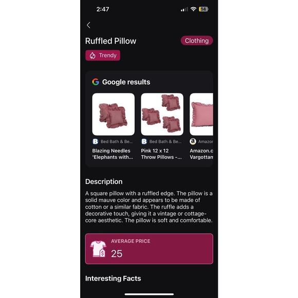 Bed Bath and Beyond out of stock dark pink pillows 12 x 12 EUC country cottage - Picture 6 of 6